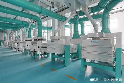 十月稻田稻花香米 性价比卓越的消费者品质之选与旅客票务代理的搭配